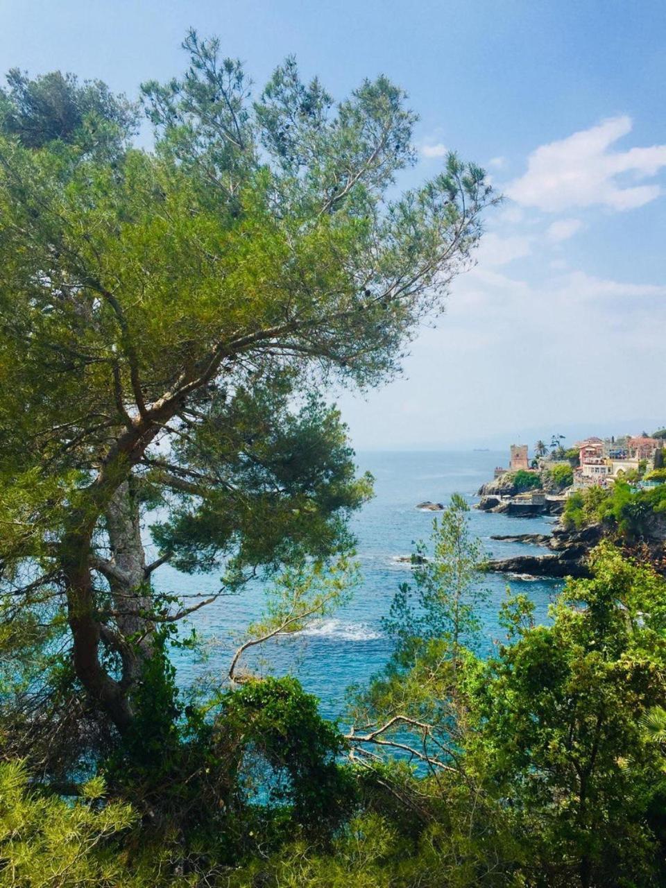 아울라 Lunigiana E Mare 아파트 외부 사진